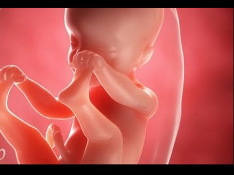 حركة الجنين في الشهر السادس اسفل البطن