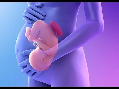 حركة الجنين في الشهر السادس اسفل البطن