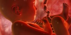 طرق تحديد نوع الجنين بشكل علمي