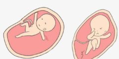 حركة الجنين في الشهر السادس ونوع الجنين وما الفرق بين حركة الذكر والأنثى