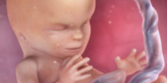 مراحل تكوين الجنين في الشهر الثالث من الحمل وكيفية تطور نموه