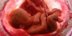 شكل الجنين في الشهر الثالث في بطن امه بالصور
