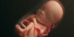 متى ينبض قلب الجنين الذكر والفرق بين نبض الجنين الذكر والانثى