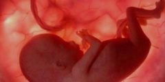 مراحل تطور الجنين فى الشهر السادس