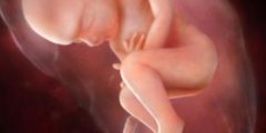 حركة الجنين في الشهر السادس ونوع الجنين