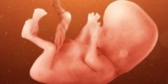 ما سبب حركة الجنين في المهبل لدى المرأة الحامل وعلاقتها بجنسه