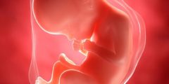 كيف تكون حركة الجنين الذكر في الشهر الثامن والجنين الأنثى