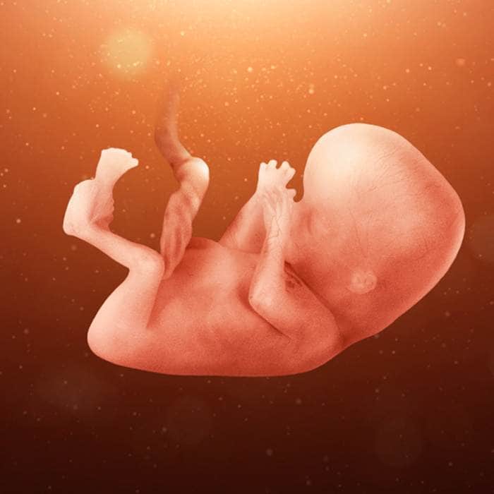 ما سبب حركة الجنين في المهبل لدى المرأة الحامل وعلاقتها بجنسه