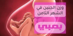 وزن الجنين في الشهر الثامن